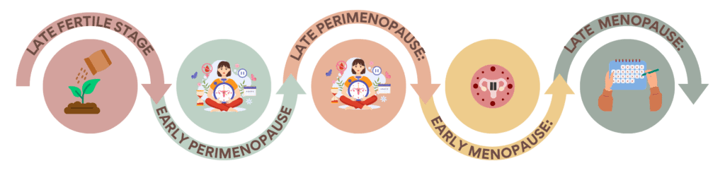 Perimenopause - Information Session (2)