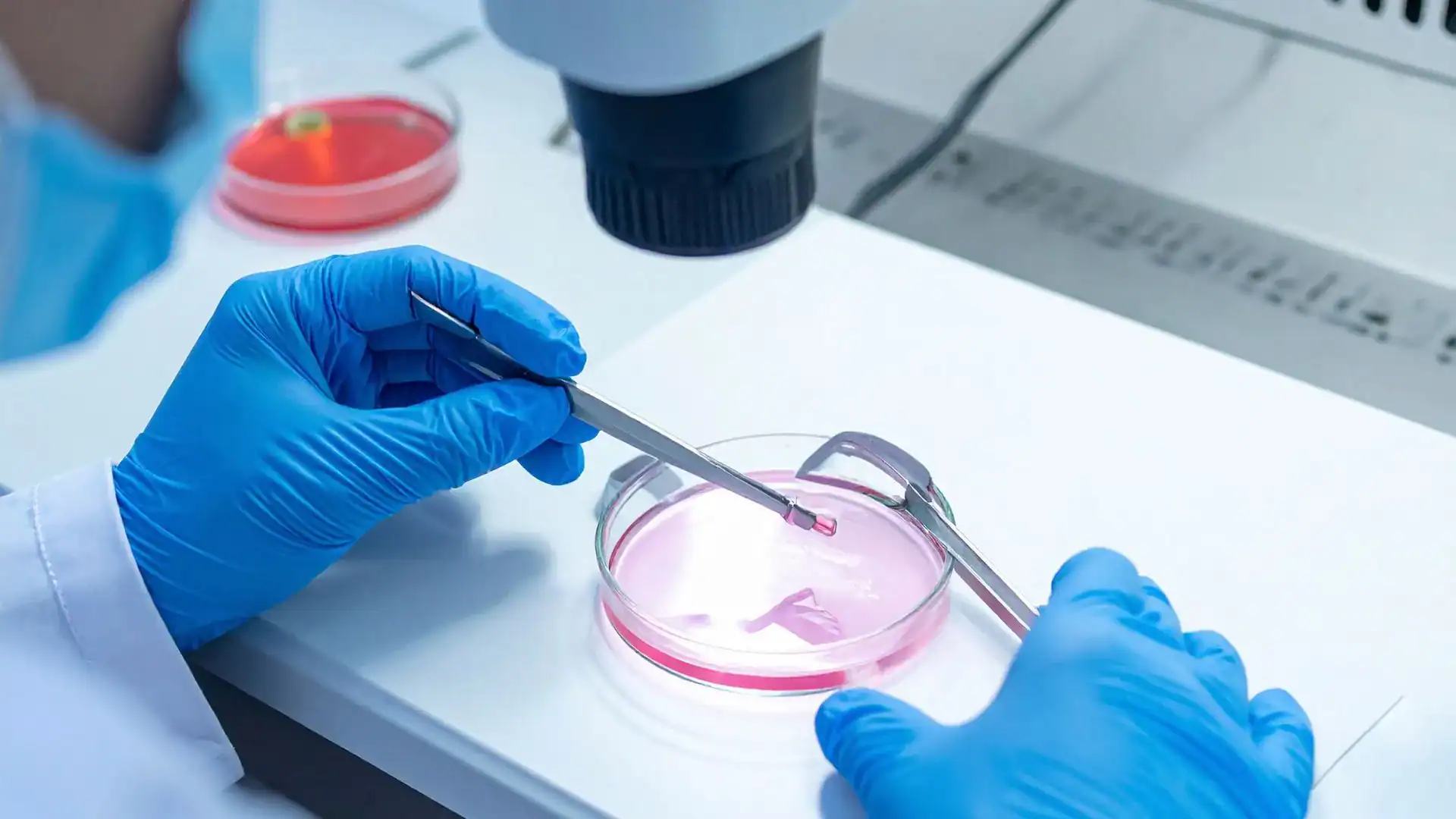 Egg freezing Brisbane