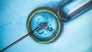 IVF specialist Brisbane