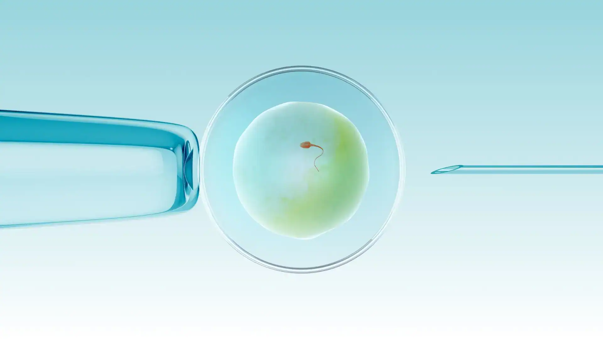 Low ovarian reserve